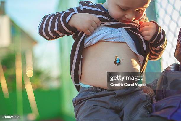 boy looking his navel with butterfly - kids belly stock pictures, royalty-free photos & images