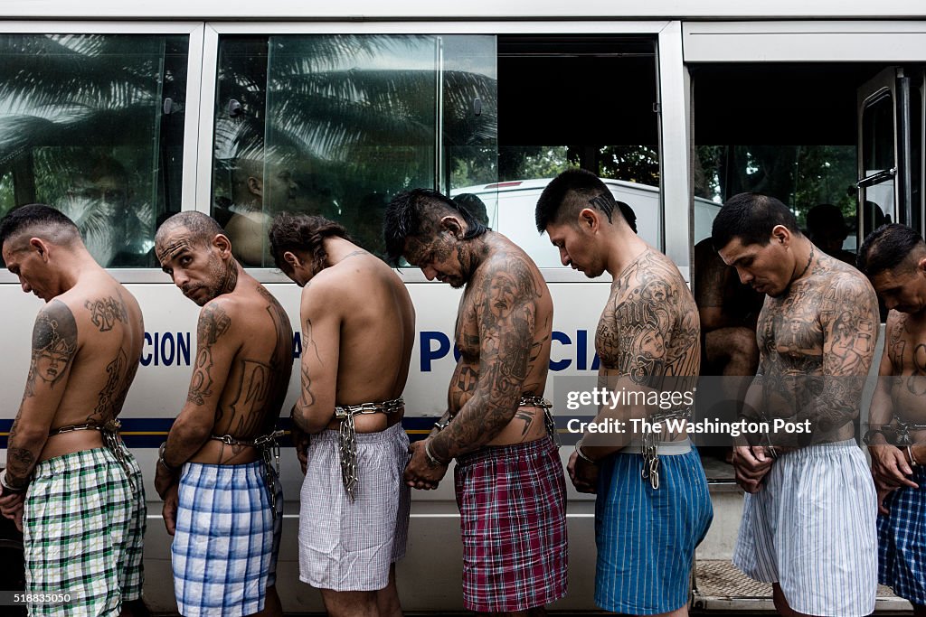 SAN SALVADOR, EL SALVADOR - MARCH 29: Three hundred gangs membe