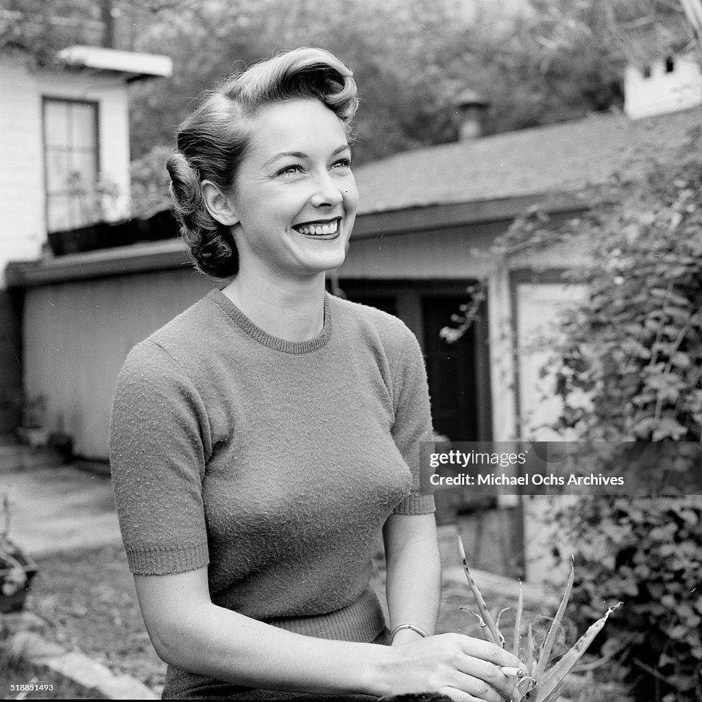 Actress Vera Miles poses at home in Los Angeles,CA. News Photo Getty
