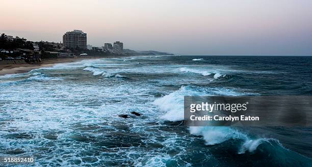 umhlanga seafront, south africa - reed dance stock pictures, royalty-free photos & images