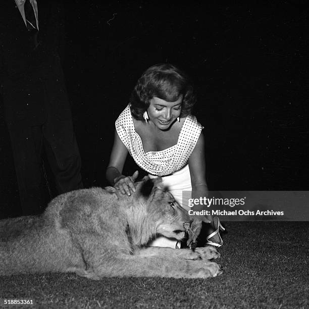 Tracy Righter 16 Carroll Righter Stock Photos, High-Res Pictures, and Images - Getty ...