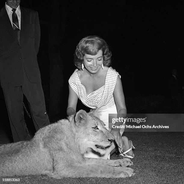 Tracy Righter 16 Carroll Righter Stock Photos, High-Res Pictures, and Images - Getty ...