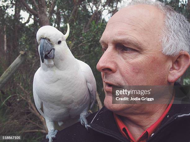 396 Parrot On Shoulder Photos and Premium High Res Pictures - Getty Images