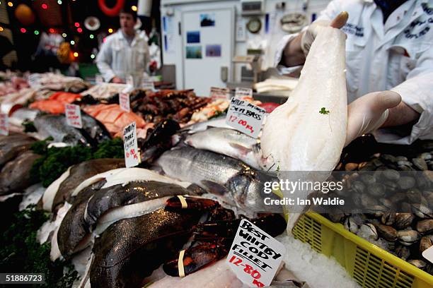 London Fish Cod 1,333 Cod Fish Fillet Stock Photos, High-Res Pictures, and Images ...