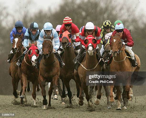 Group shot of the pack during the Bet Direct Handicap Stakes held at Lingfield Racecourse on December 22, 2004 in Lingfield, England.