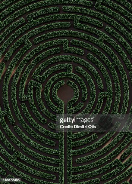 leafy maze with path leading to the centre - geometric maze bildbanksfoton och bilder