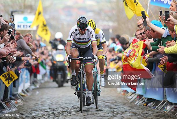 Peter Sagan of Slovakia and Tinkoff up the Oude Kwaremont during the 100th edition of the Tour of Flanders from Bruges to Oudenaarde on April 3, 2016...