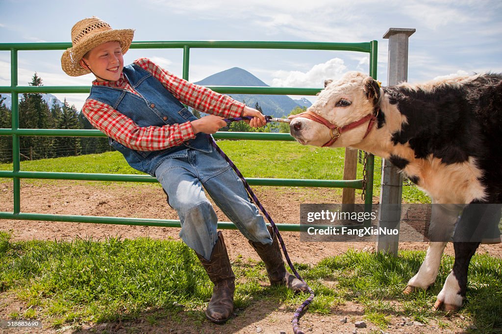Boy pulling cow