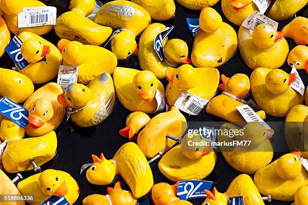 duck festival - rubber duck stock pictures, royalty-free photos & images