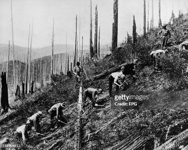 Men from the Reforestation Army, part of the Civilian Conservation Corps created by President Roosevelt's New Deal programs, clear brush from a...