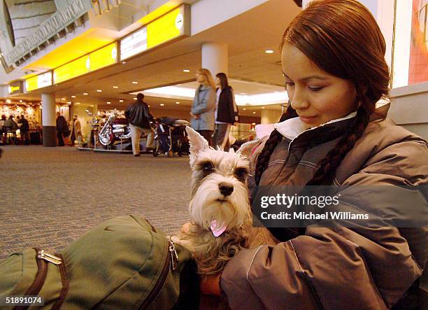 Sara Roig trys to sleep while her dog Princess keeps watch as she waits for her flight out of Columbus International Airport December 23, 2004 in...