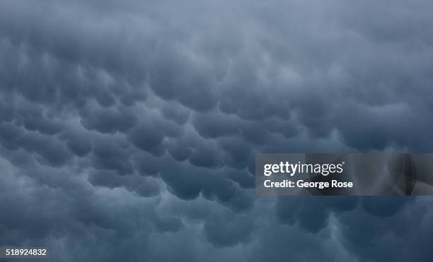 Mammatus clouds form over the Russian River Valley on March 29 near Healdsburg, California. With nearly all the irrigation ponds and reservoirs in...