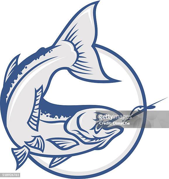 ilustrações de stock, clip art, desenhos animados e ícones de salmão - barbatana caudal