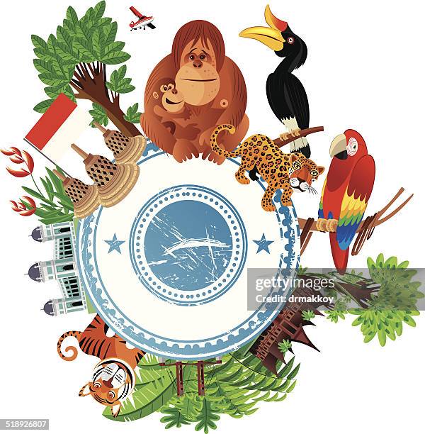 indonesia travel - kalimantan stock illustrations