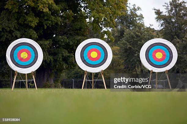 3 Distance Target 8,562 3 Targets Stock Photos, High-Res Pictures, and Images - Getty Images