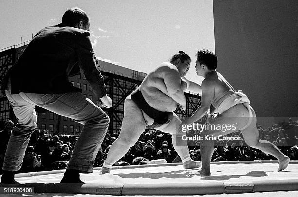 Yamamoto Ryuichi Ryuichi Yamamoto Photos and Premium High Res Pictures - Getty Images