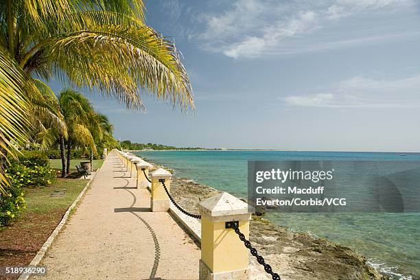 waterfront path on beach - st croix stock pictures, royalty-free photos & images