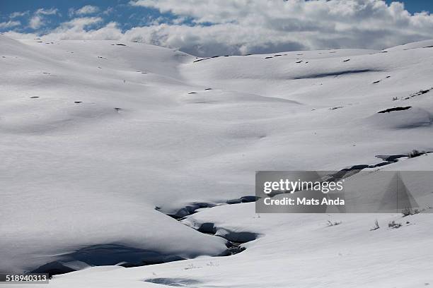 winter landscape in norway - correction fluid stock pictures, royalty-free photos & images