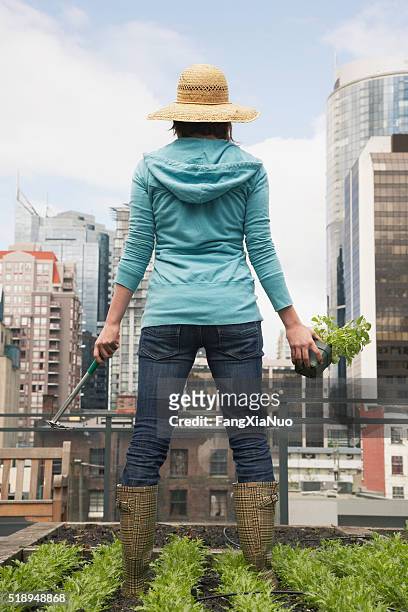 woman standing on roof garden - see the bigger picture stock pictures, royalty-free photos & images