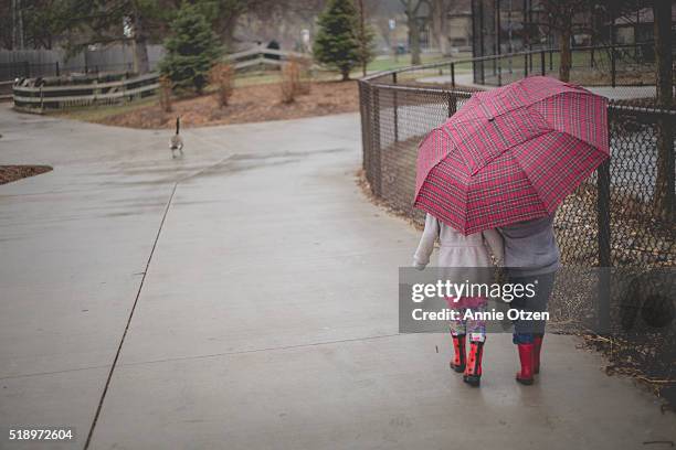 two kids walking with umbrella - sharing umbrella stock pictures, royalty-free photos & images