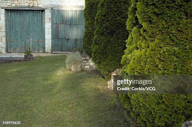 a dilapidated shed in a back yard - tool shed wall spaces stockfoto's en -beelden