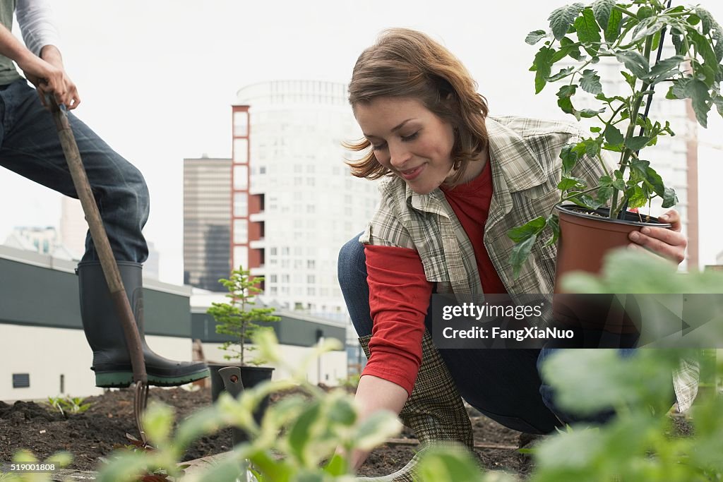 Woman planting roof garden
