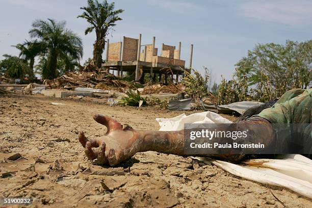 the clear up operation continues on the island of koh lak - khao lak stock pictures, royalty-free photos & images