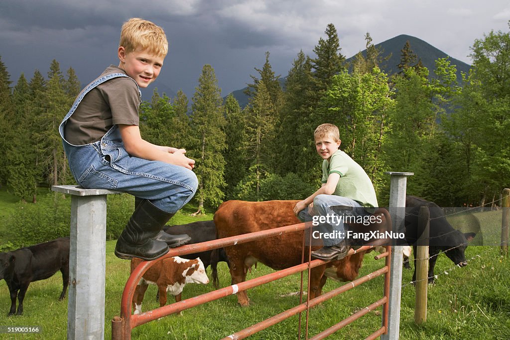Boys sitting on fence