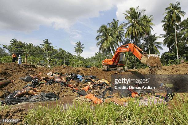 Indonesian soldiers dump unknown dead bodies from Sunday's earthquake and tsunamis into a common mass grave on December 29 in Banda Aceh, Sumatra,...