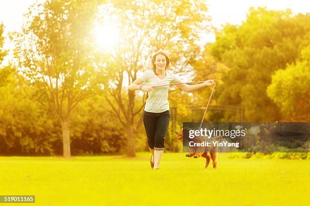 junge frau läuft mit pudel welpe im city park - standard poodle stock-fotos und bilder