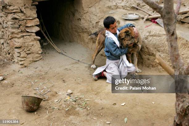 Ten-year-old Kabali checks the wounds on his dog after it lost a fight the day before in a slum district of Kabul December 18, 2004 in Afghanistan....