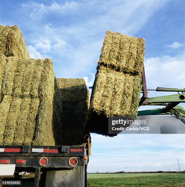 626 Pickup Truck Overloaded Stock Photos, High-Res Pictures, and Images -  Getty Images