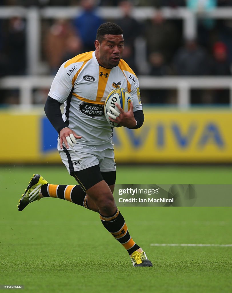 Newcastle Falcons v Wasps - Aviva Premiership