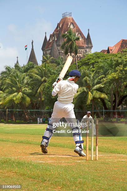 playing cricket - india cricket stock pictures, royalty-free photos & images