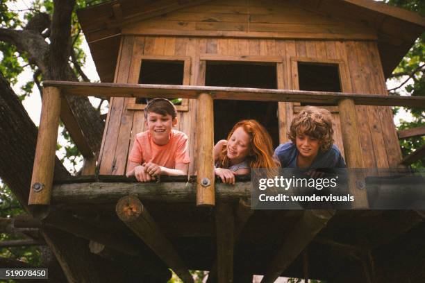 three young friends playing in a treehouse in summer - tree house stock pictures, royalty-free photos & images