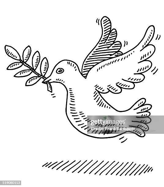 peace symbol dove branch drawing - olive leaf white background stock illustrations
