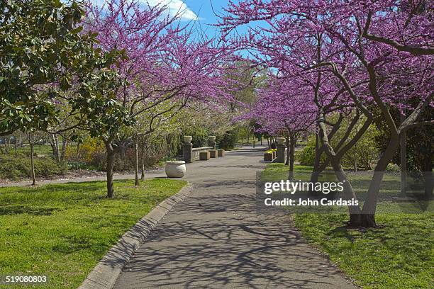 centennial park, nashville, tennessee - centennial park stock-fotos und bilder