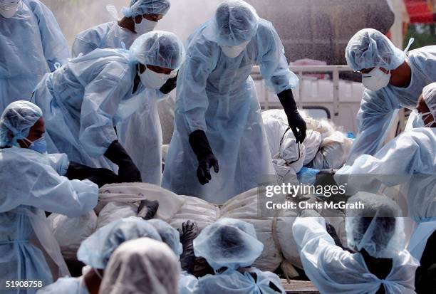 Medical workers load a corpse on to a truck in a makeshift morgue inside a Buddhist temple on January 2, 2005 in Takuap Pa, Thailand. The bloated and...