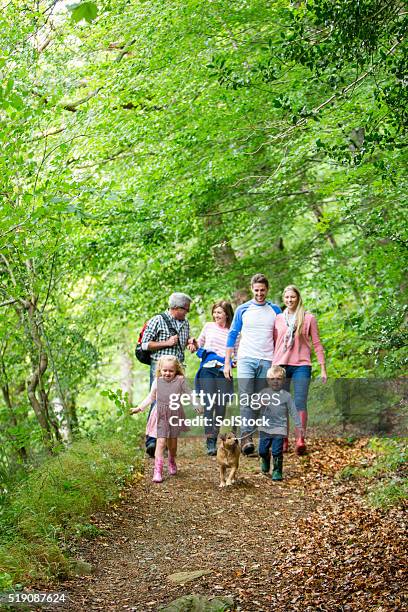 family day out - extended family outdoors spring stock pictures, royalty-free photos & images