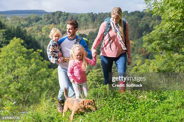 family out for a walk - forest day stock pictures, royalty-free photos & images