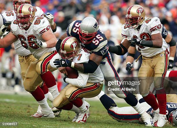 Ken Dorsey of the San Francisco 49ers is sacked by Willie McGinest of the New England Patriots during their game on January 2, 2005 at Gillette...