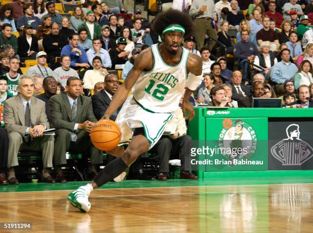 Ricky Davis of the Boston Celtics drives against the New Orleans Hornets January 3, 2005 at the Fleet Center in Boston, Massachusetts. NOTE TO USER:...