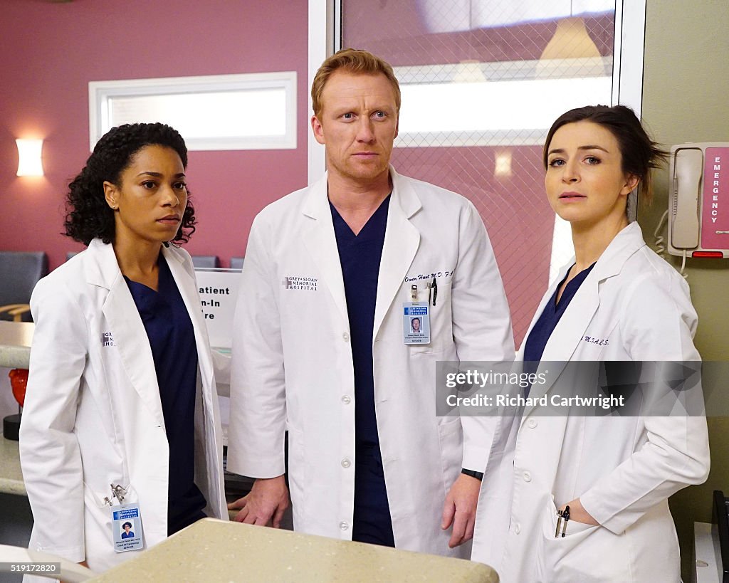 ABC's "Grey's Anatomy" - Season Twelve