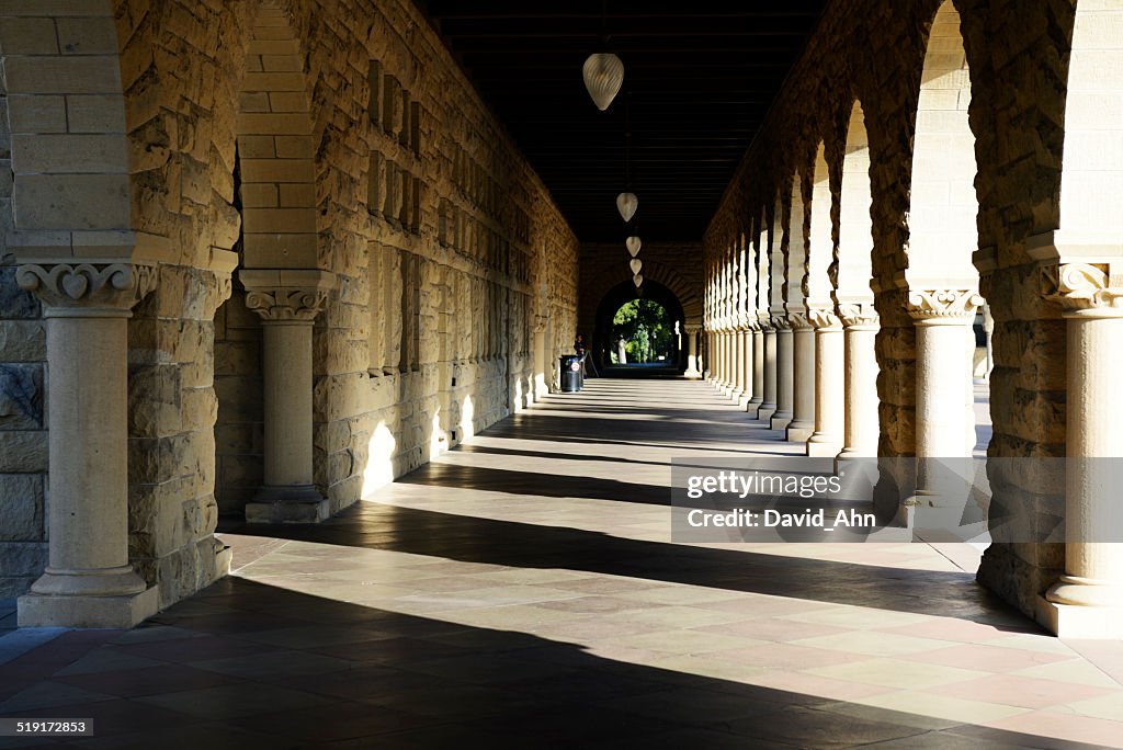 Stanford University
