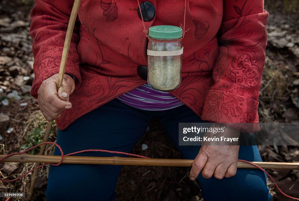 Humans Do The Work of Bees in Rural China