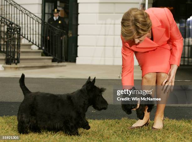 Presidential dog Barney prepares to acquaint himself with Miss Beazley , the Scottish Terrier pup given to U.S. First lady Laura Bush as a birthday...