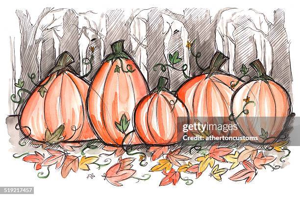 sketchy pumpkins - copse stock illustrations