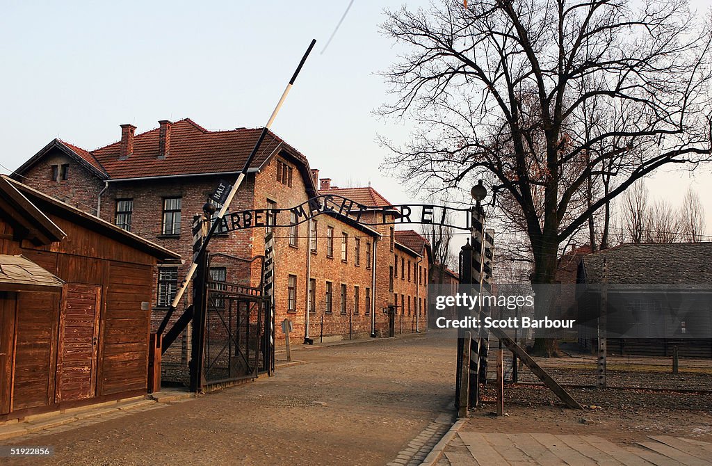 Preview For Sixtieth Anniversary Of The Liberation Of Auschwitz