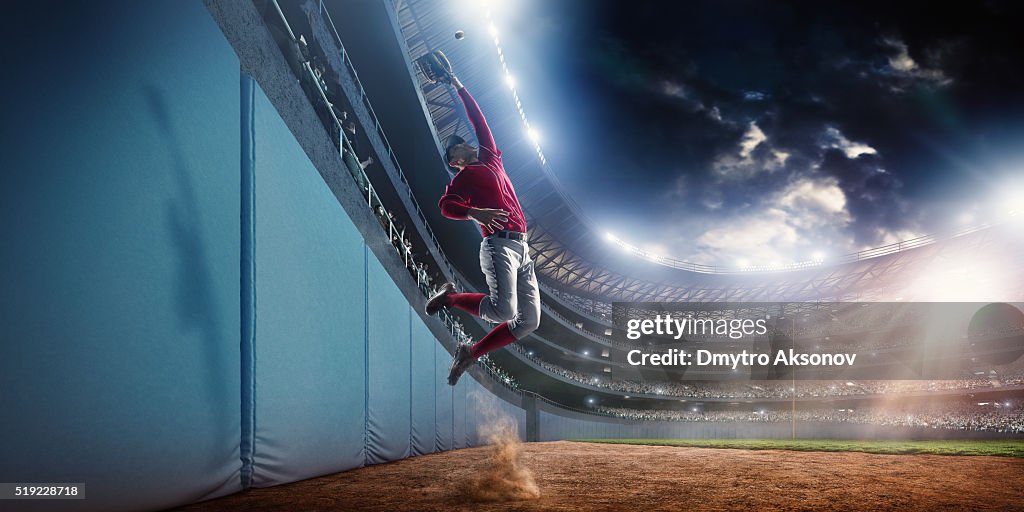 Baseball home run catch