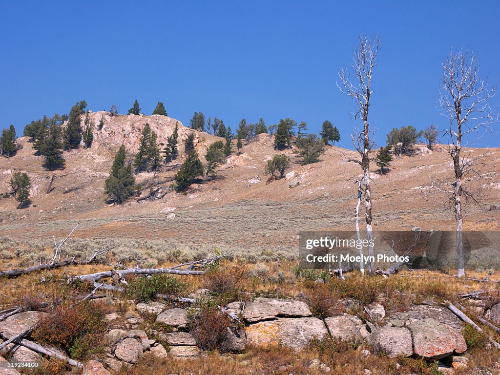Huckleberry Ridge Huckleberry Ridge Tuffforces Of The Northern Range Trail In Yellowstone ...
